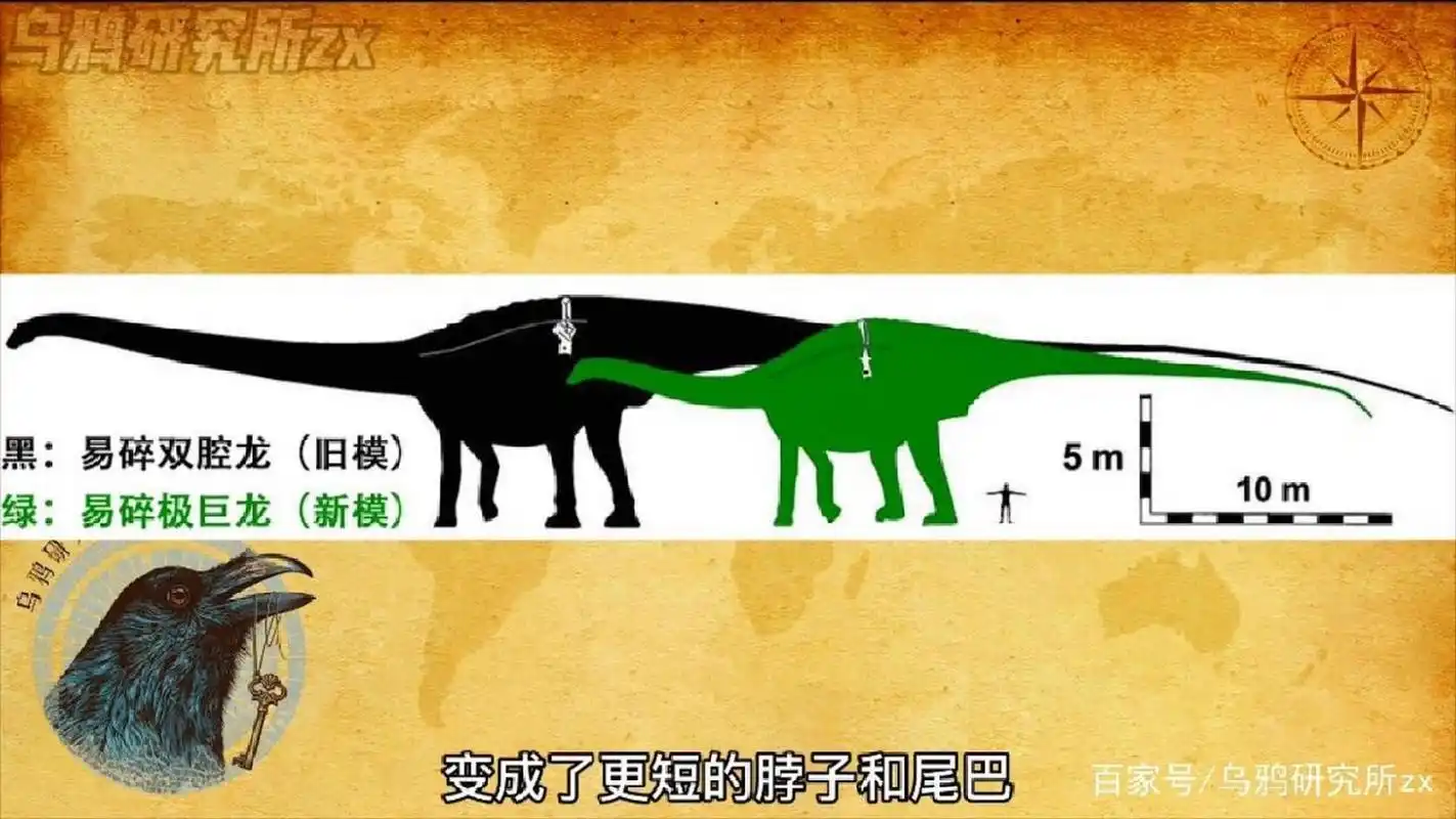 恐龙图鉴 物种:易碎极巨龙 体形:40~45m 100~120吨 发现地:北美 食性