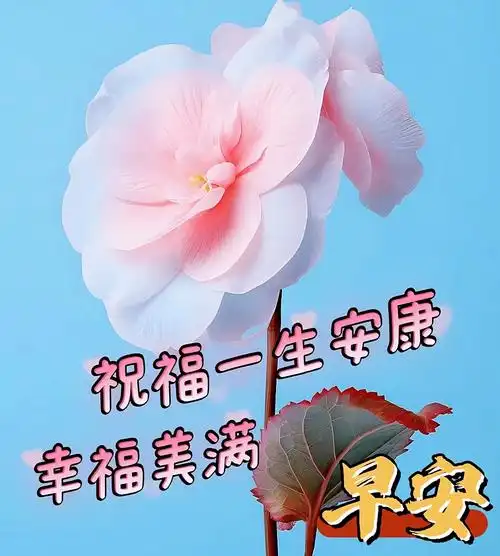 8月24日星期四早上好,精选早安祝福创意表情包图片带字带问候语录