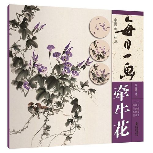 牵牛花 张大钧 花鸟画画法步骤解析 艺术绘画参考 国画技法入门书籍