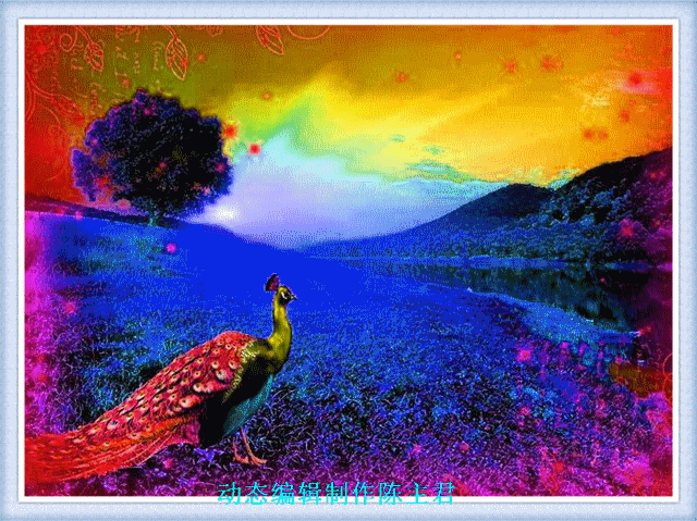 极品动态凤凰美图太太太漂亮了送给亲朋好友祝你吉祥如意