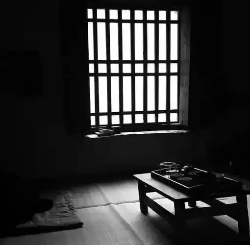 一个人,一座山,一间茅草屋,隐居终南山4年,她把日子过成了诗!