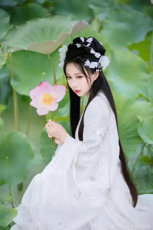 汉服##古风##荷花