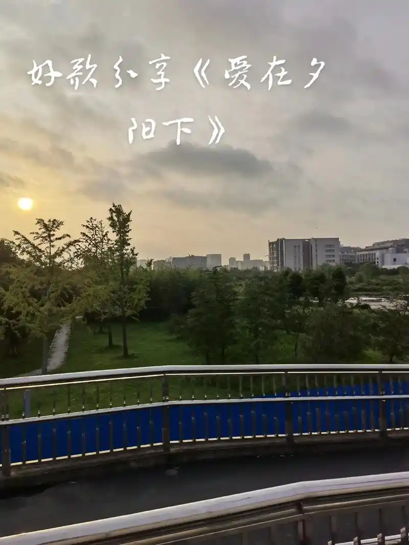 好歌《爱在夕阳下》分享给大家!愿大家开心快乐! - 抖音