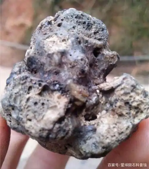 假月球陨石,水泡状气印或者角砾.