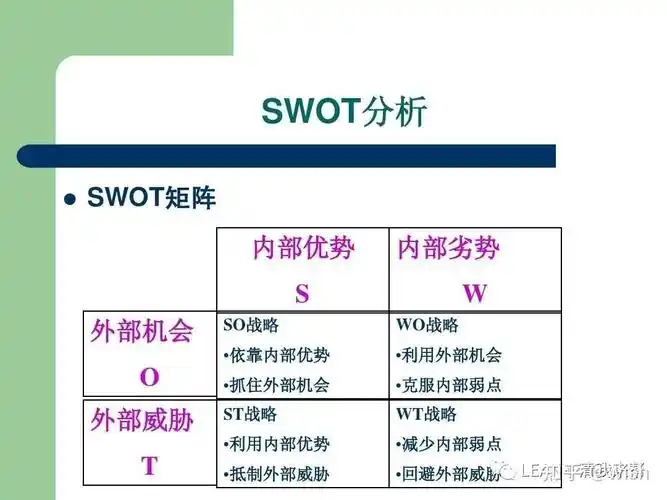 swot分析!