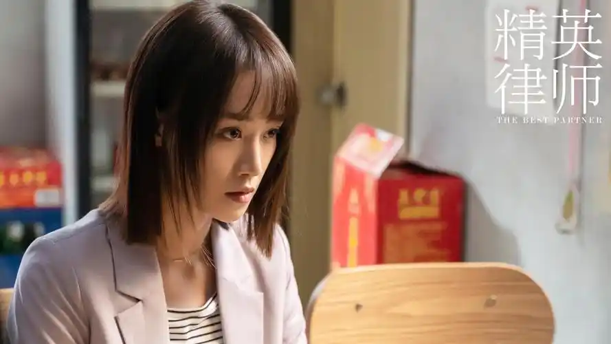 精英律师戴曦剧照
