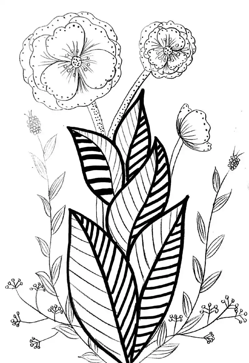 线描#花朵#创意美术  - 抖音