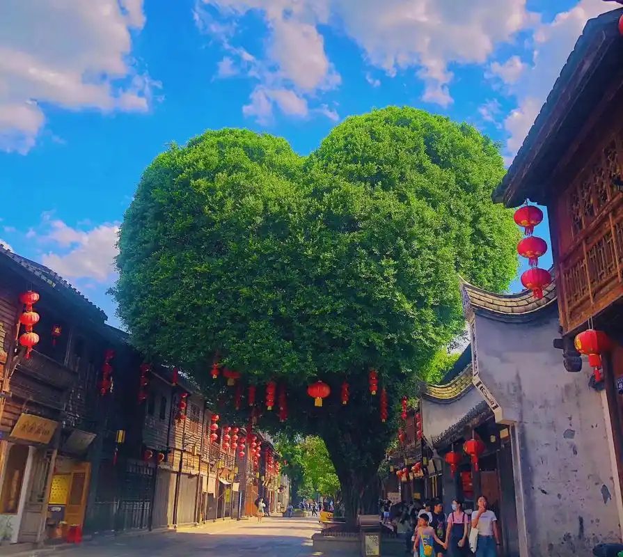 在有福之州-沾沾它的福气.三坊七巷-上下杭-中洲岛-左海公园 - 抖音