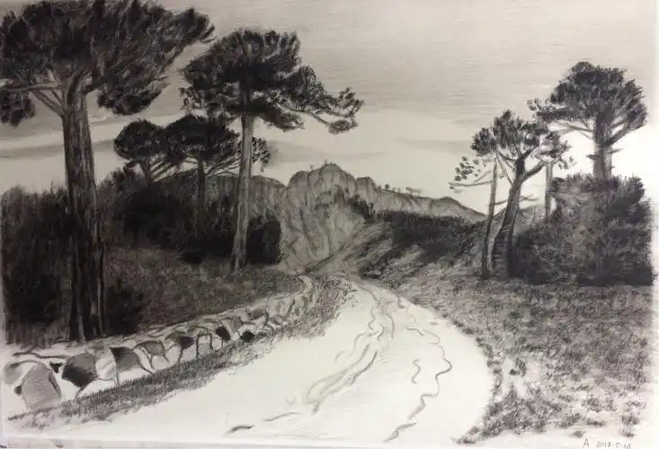 向大师致敬……记六盘水市第五中学2019届美术学生(部分)大师素描风景