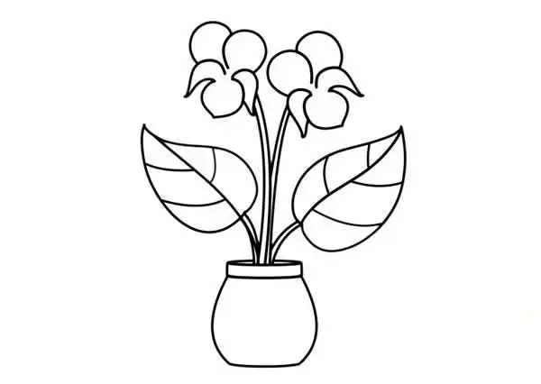 紫罗兰盆栽简笔画彩色画法步骤图片