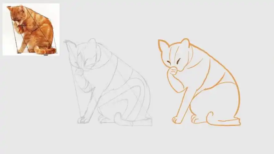 若木商业插画课d5动物线稿练习