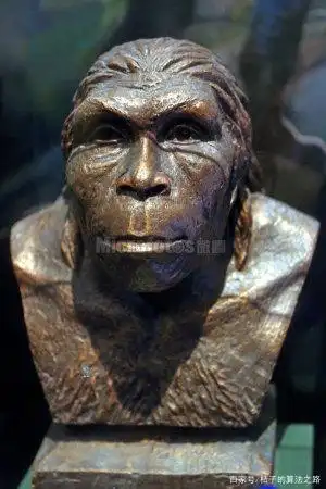 早期原始人类:元谋人,蓝田人,北京猿人,金牛山猿人