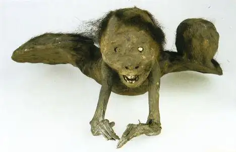 日本的木乃伊(12张)