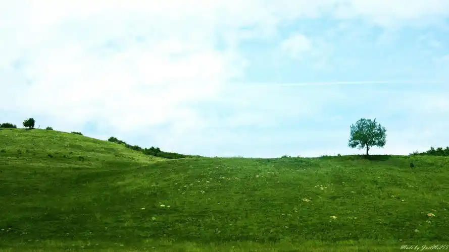 安卓(android)小清新 护眼壁纸 草原高清手机壁纸免费下载,安心市场