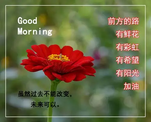 新的一天早安祝福语精美语句 - 祝福语句图片- 不二励志语录