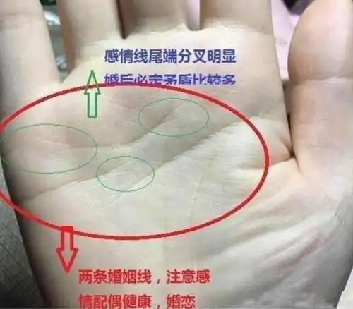 手相准还是生辰八字准:生辰八字和手相哪个准