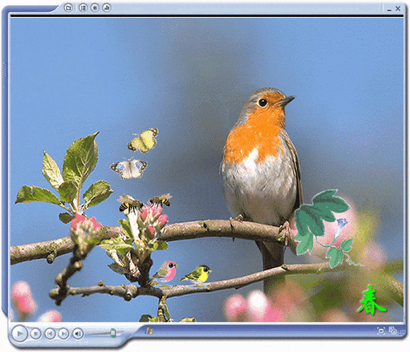 中国绘画 花鸟篇 3215