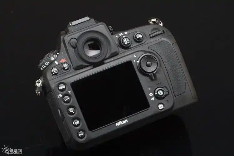 猎杀一切的鹰眼 尼康d800单反相机深入体验