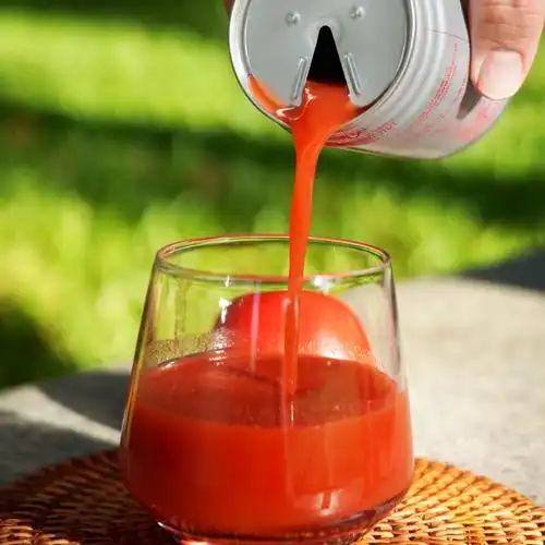 中粮屯河番茄汁番茄红素纯果蔬汁250ml*15罐100%果汁饮料国企出品