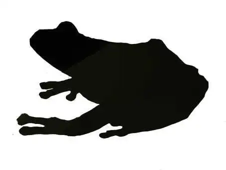 青蛙(剪影)