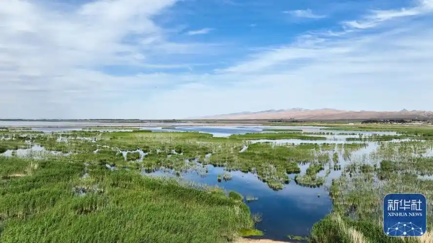 这是6月4日拍摄的位于内蒙古巴彦淖尔市乌拉特前旗的乌梁素海(无人机