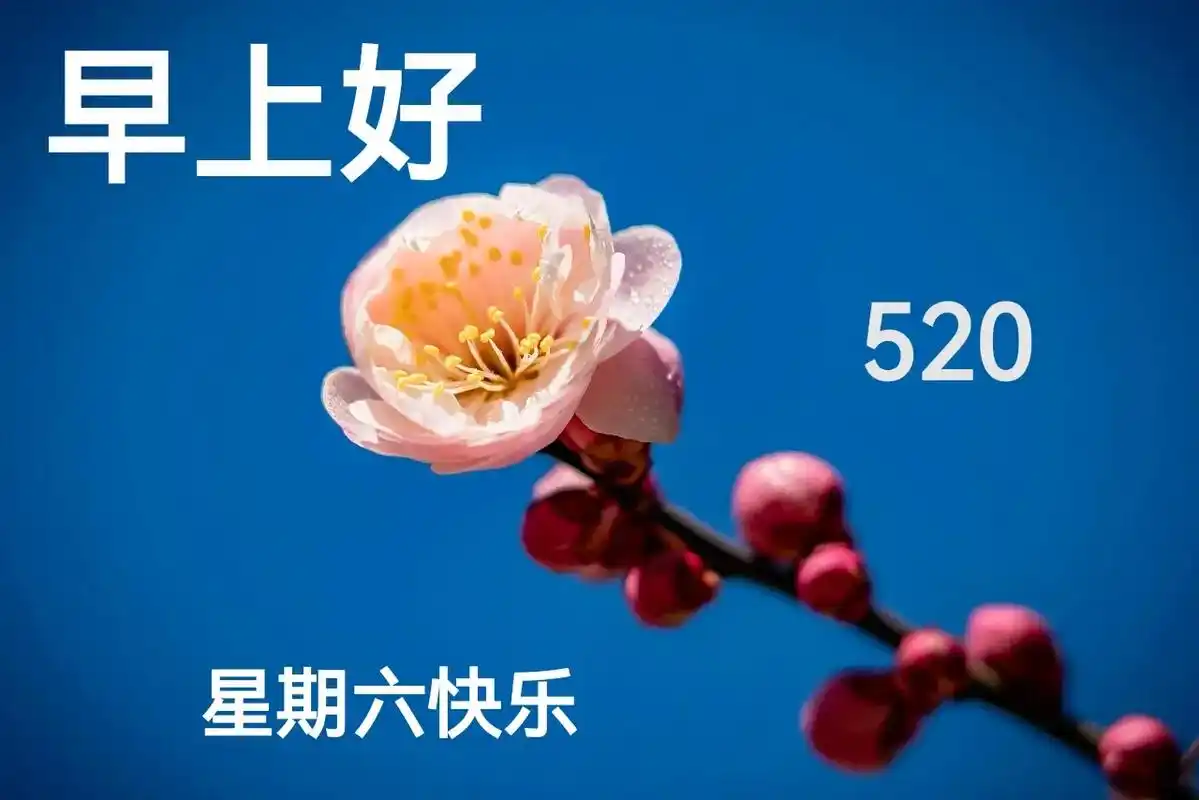 早上好!今天是520, 谐音:我爱你, 我自己亲手做了三个图 - 抖音