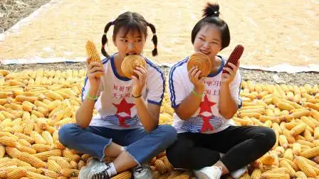欢欢的童年:姐妹俩一起去地里苞玉米,妈妈给姐妹准备好吃的面包,女儿