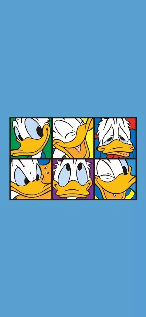 壁纸  喜欢这只鸭鸭,嘎嘎嘎~  0815031596  侵删#迪士尼