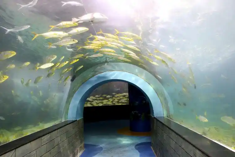 游览深圳小梅沙海洋世界拍摄纪实