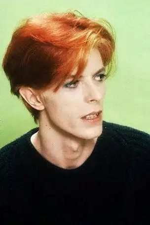 david bowie