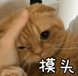 意外险理赔需要注意什么