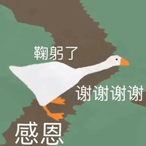 表情包大鹅