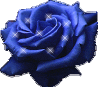 动态漂亮的玫瑰花素材〖动态美图