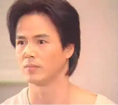 p data-id="gnsoqj0bvd">林瑞阳 ,又名林吉荣,1960年5月20日出生于 a