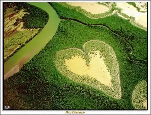 2002年美国《国家地理》杂志获奖作品选