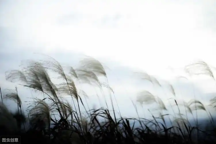 极度悲伤绝望的诗句『极度悲伤绝望的古诗句』