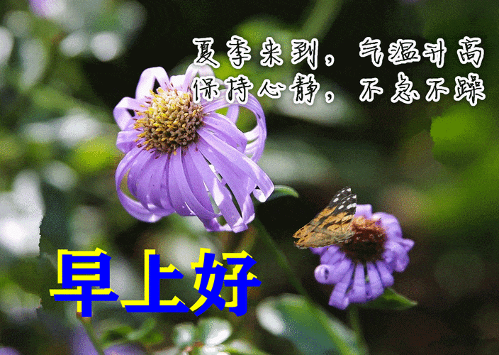 夏日清晨最新好看的早安图片带字推荐漂亮的早上好问候语图片精选