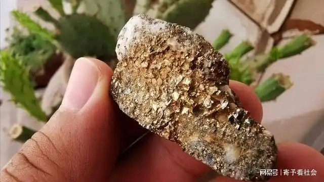 2016年云南男子河里捡到一石头全身长满金子专家鉴定后直叹气