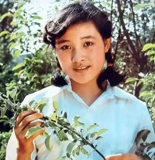 陈冲简历及个人资料简介