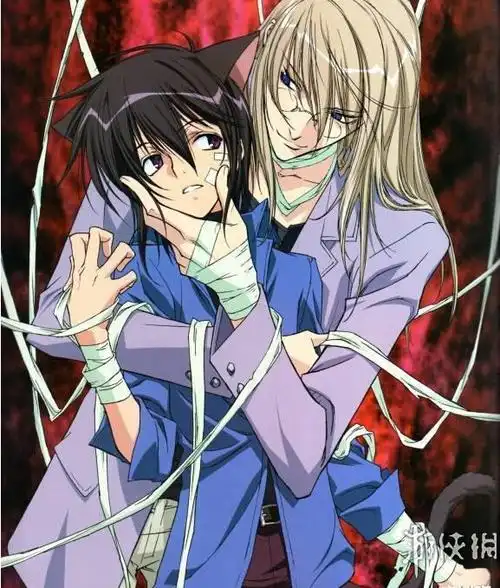 腐的无药可救忠诚or暧昧盘点动画中男男主仆关系