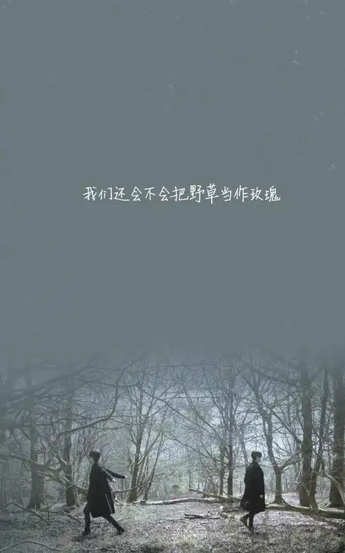 孤独寂寞伤感文字高清唯美壁纸