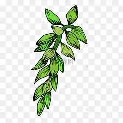 中国风绿色的叶子免抠插图