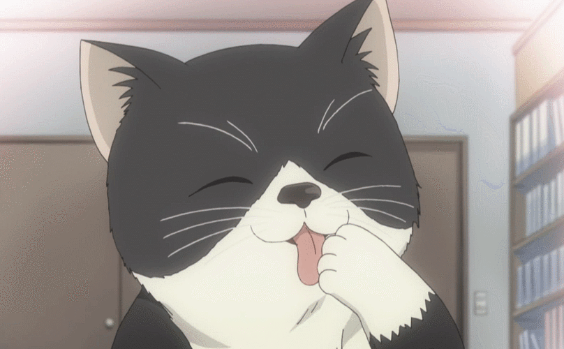 世界第一初恋二次元动漫可爱洗头猫咪空太萌gif动图_动态图_表情包