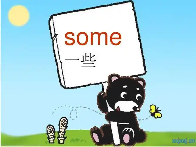 some 一些
