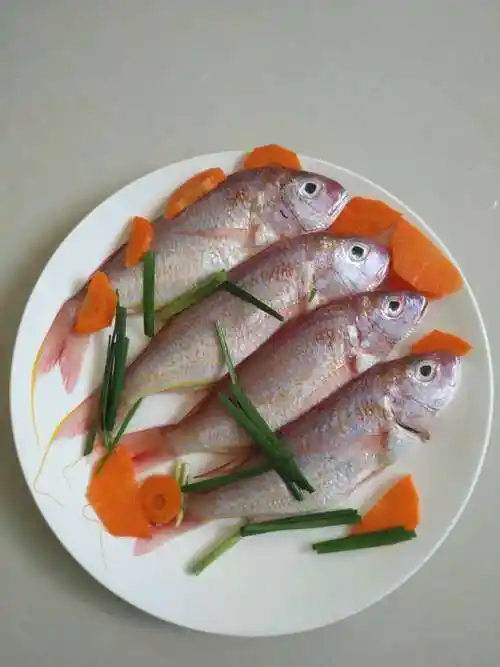 湛江特产海鲜红三鱼新鲜野生红杉鱼深海鱼生鲜鱼冰鲜鱼500g鲜活鱼