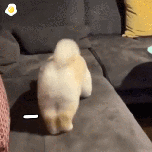 329_329gif 动态图 动图