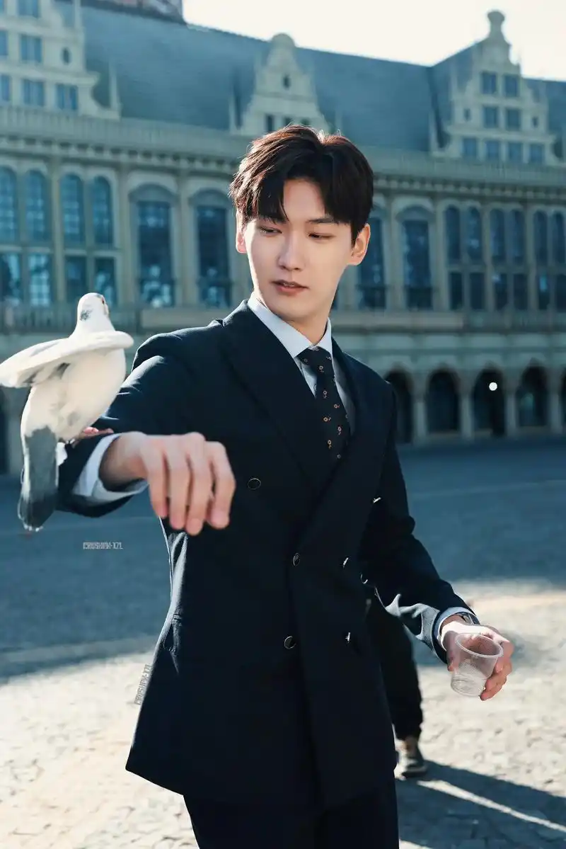 邢昭林 肖总喂鸽子#西装杀 #男友风 #小说男主脸 #干净 - 抖音