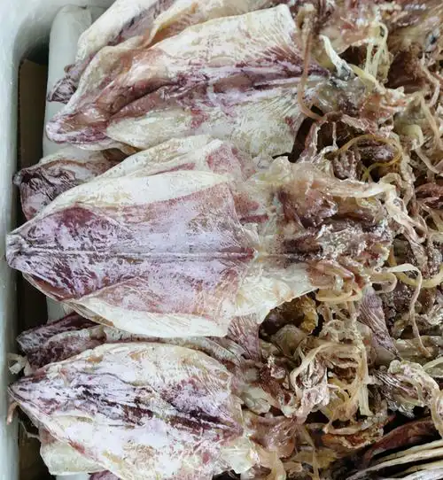 泡干鱿鱼只用清水可不行大厨教你这么做恢复饱满有弹性很实用