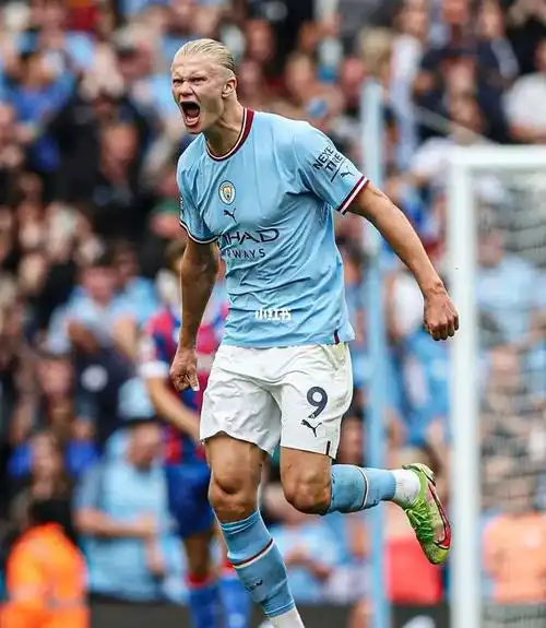 哈兰德又吃了三个小孩