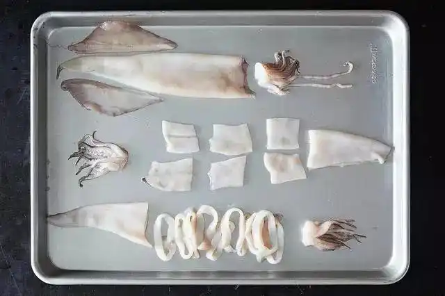 9步详解:教你如何快速处理一只鱿鱼